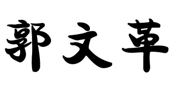 郭文革