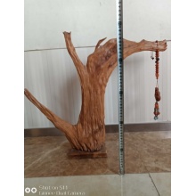 张军民《蒸蒸日上》崖柏72*46*11cm