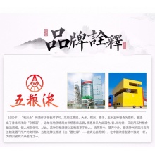 五粮液股份文化艺术酒浓香型白酒礼盒整箱装 52度500ml*4瓶（报销500元饭费）