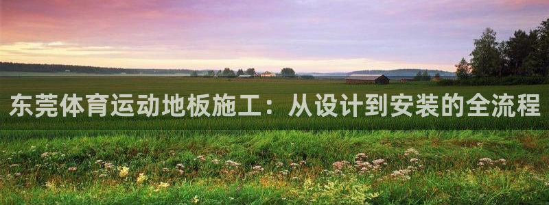 77体育官网：东莞体育运动地板施工：从设计到安装的全流程