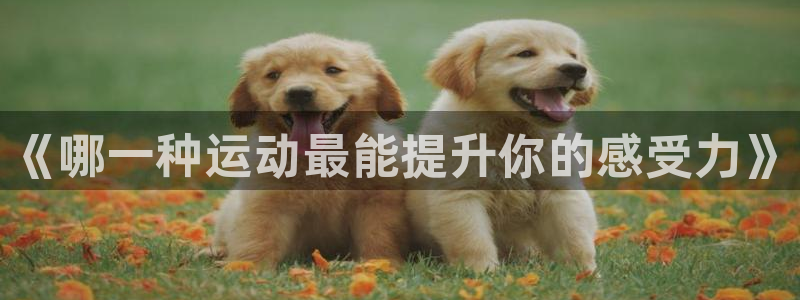 皇冠277体育：《哪一种运动最能提升你的感受力》