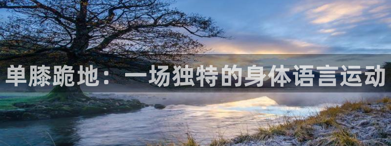 77体育官网：单膝跪地：一场独特的身体语言运动