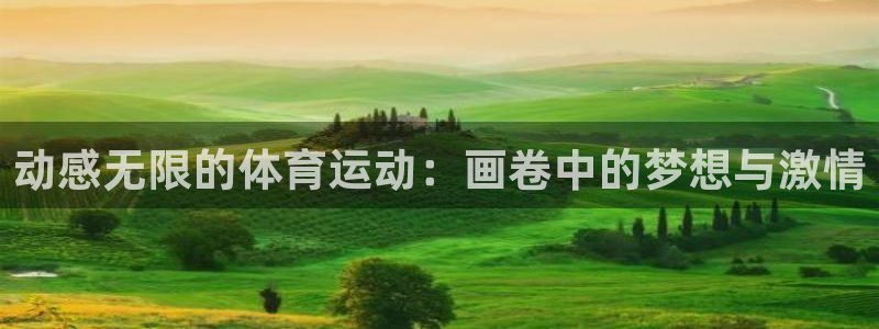 77体育官网：动感无限的体育运动：画卷中的梦想与激情