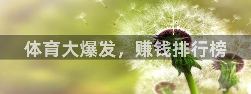 皇冠277体育：体育大爆发，赚钱排行榜
