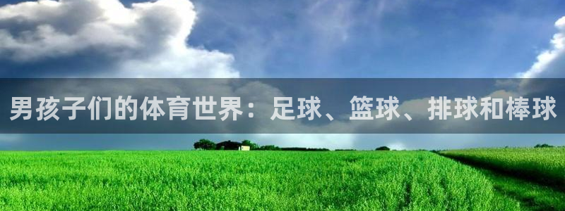 77体育：男孩子们的体育世界：足球、篮球、排球和棒球