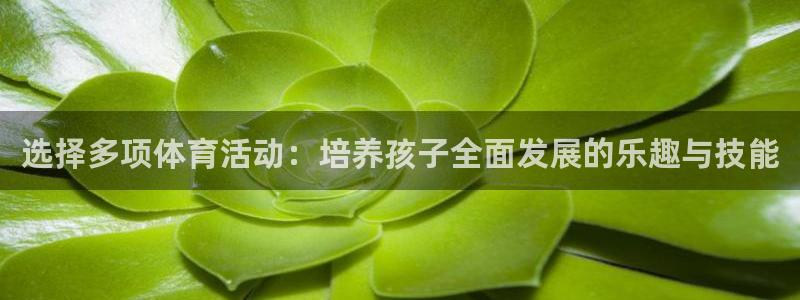 77体育：选择多项体育活动：培养孩子全面发展的乐趣与技能