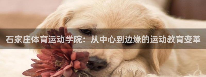 77体育app下载官网：石家庄体育运动学院：从中心到边缘的运动教育变革