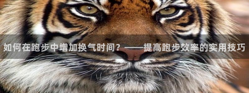 77体育：如何在跑步中增加换气时间？——提高跑步效率的实用技巧