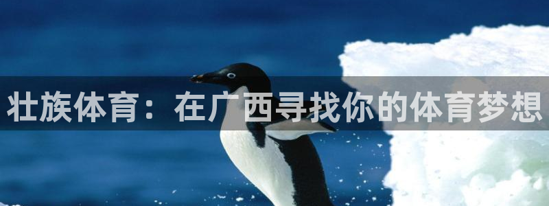 77体育：壮族体育：在广西寻找你的体育梦想